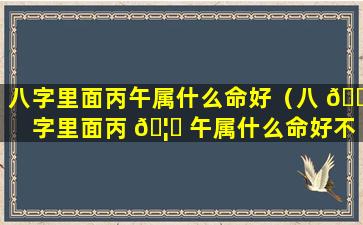 八字里面丙午属什么命好（八 🌺 字里面丙 🦉 午属什么命好不好）